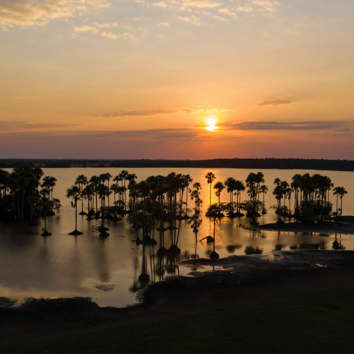 Paisaje.-Morichales-1024×727