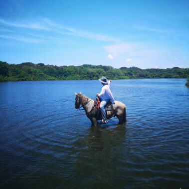 Mejores planes llanos de Colombia: travesías a caballo en medio de la naturaleza de Colombia.