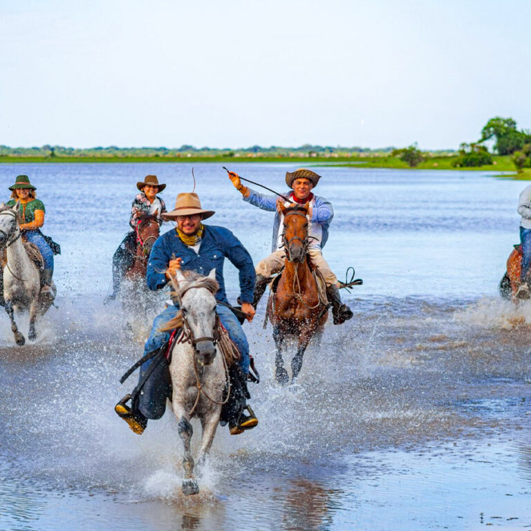 HATO-BORAL—CABALLO-Y-SABANA-caballos