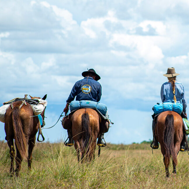 portada-el-encanto-a-caballo