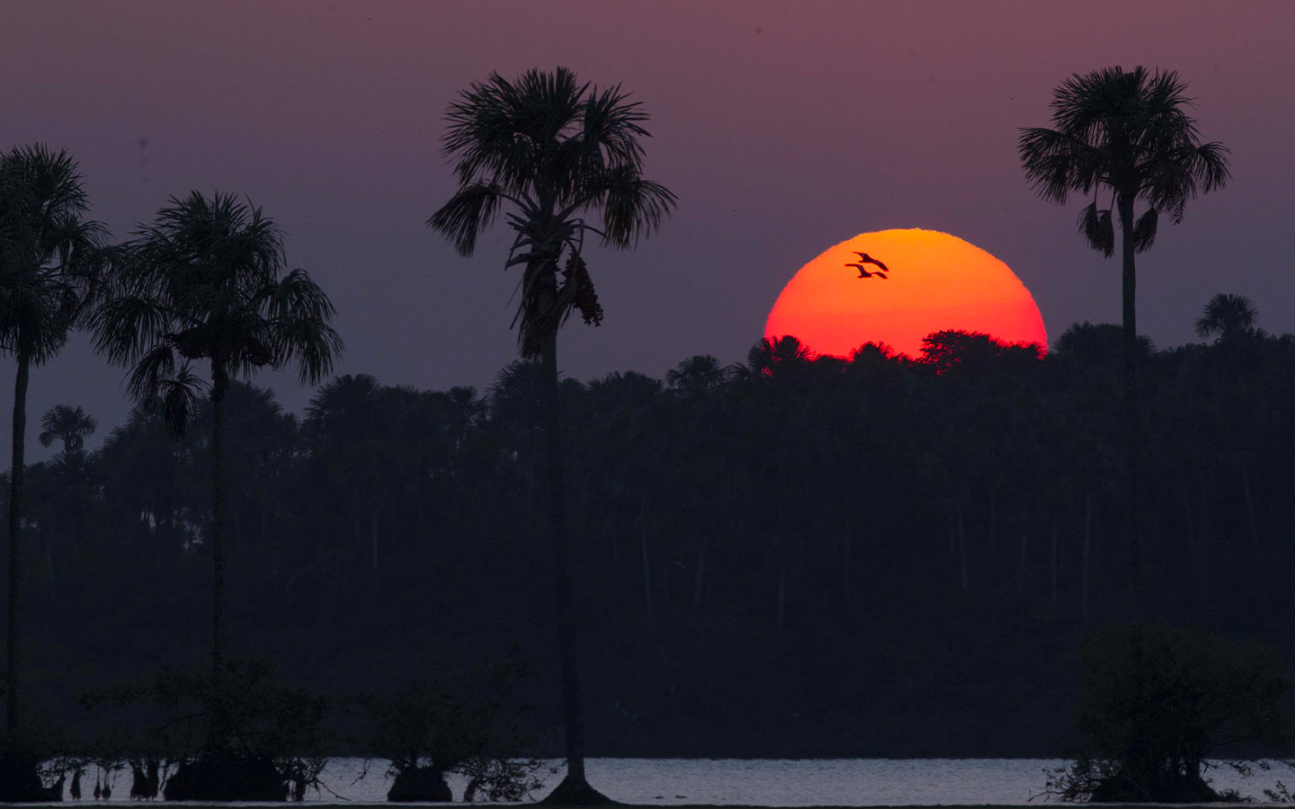 Atardecer llanos de Colombia Cunaguaro Travel.